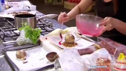 Masterchef Australia   Season 09   eps 01   Part 02