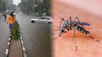 ಮುಂಗಾರು ಪೂರ್ವ ಮಳೆಯಿಂದ ಡೆಂಗ್ಯೂ ಭೀತಿ | Oneindia Kannada