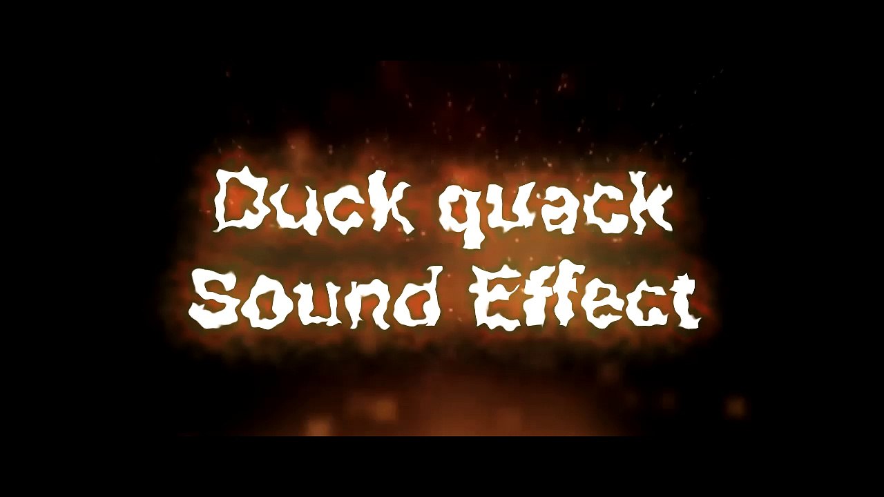 Duck Quack Sound Effect Vídeo Dailymotion