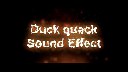 Duck Quack Sound Effect