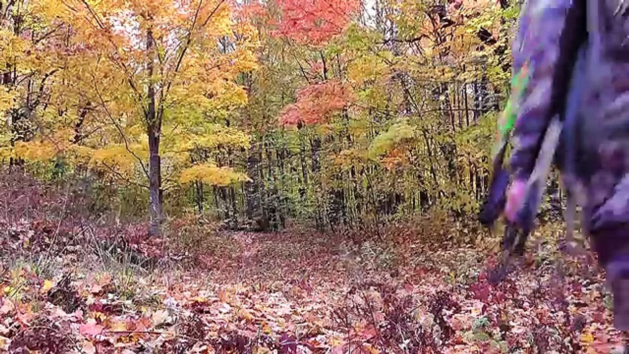 Northern MI BowHunting new