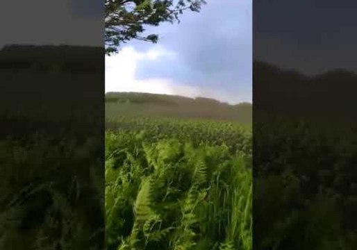 Twister Sweeps Across Field in Liverpool Suburb