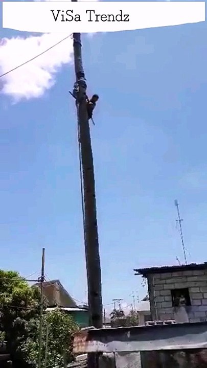 Tree cuting man falling down while cuting the tree...!!!!