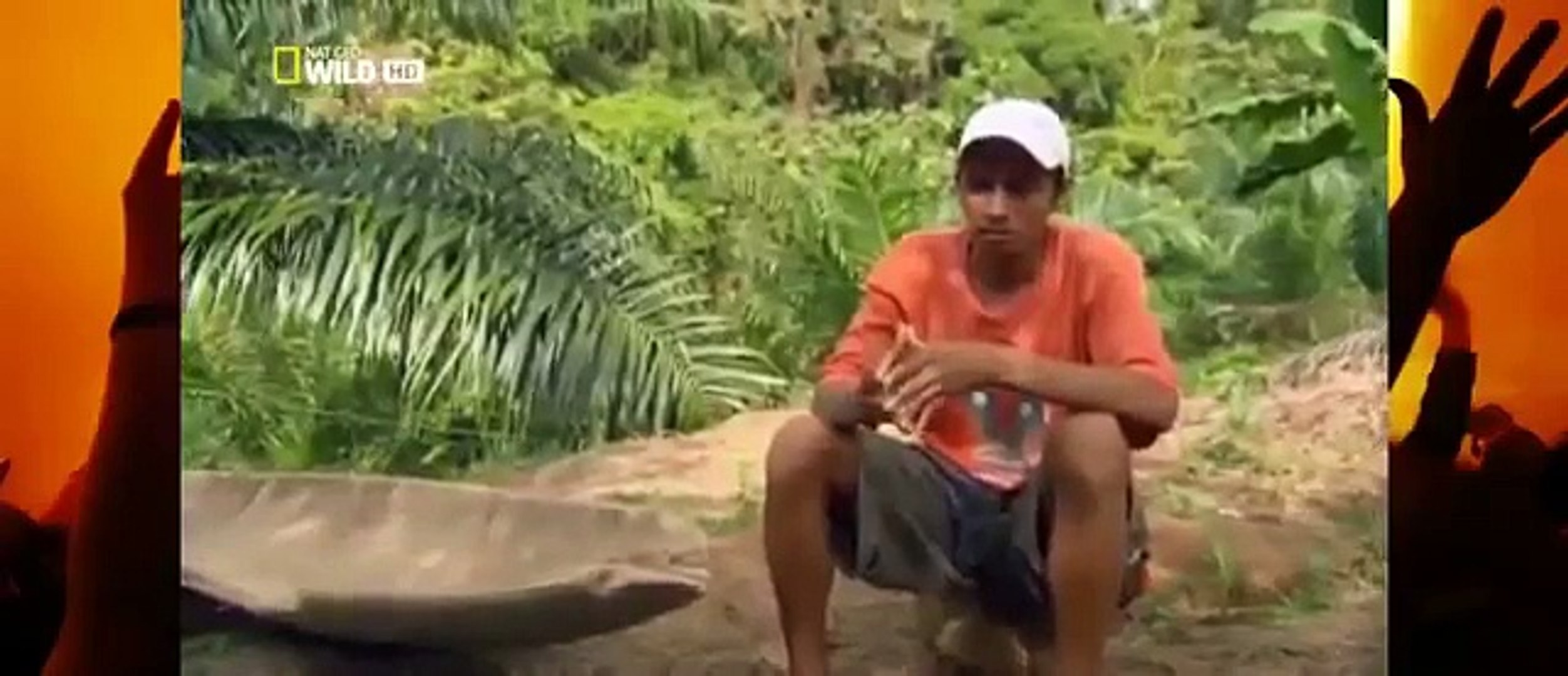 Snake Documentary Best Documentary Films - Nature documentary Monster Croc Hunt Animal planet