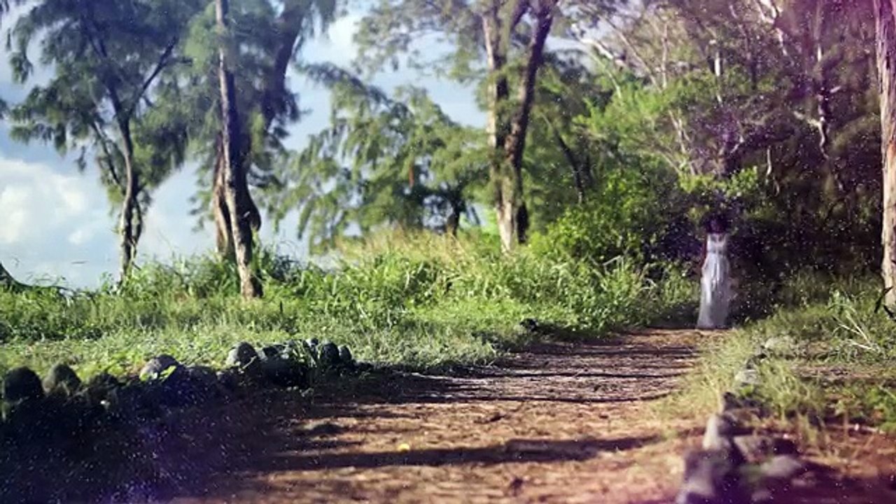 SundRi Feeling - Koulèr Zétwal