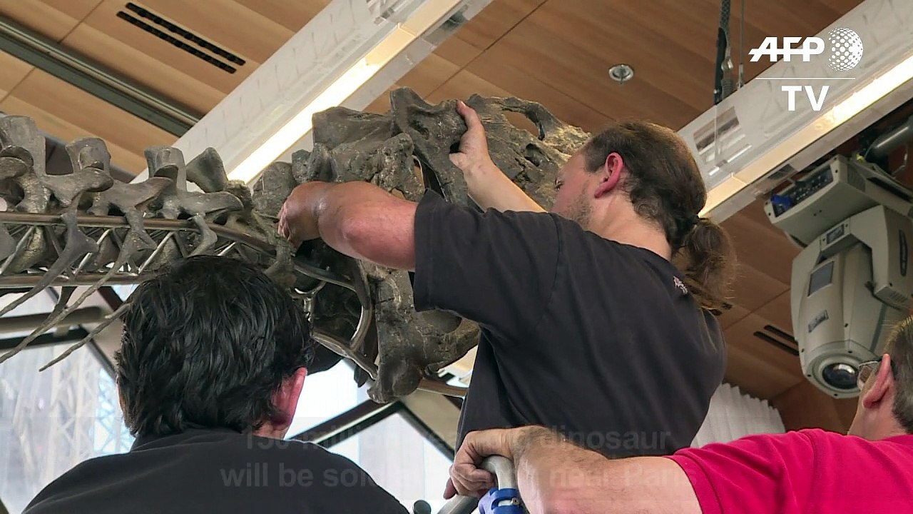 Why is there a dinosaur in the Eiffel Tower?