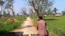 Magnificent Scene Village life in Punjab Pakistan