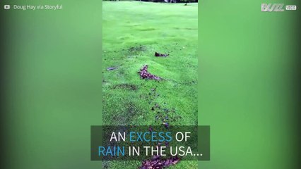 North Carolina golf course turns into waterbed