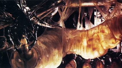 Newborn Xenomorph - Explained Alien Resurrection