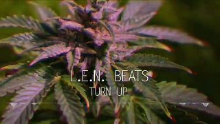 Turn Up | Insane Trap Beat | Trap Strings | Bangin 808 Kicks | L.E.N. Beats