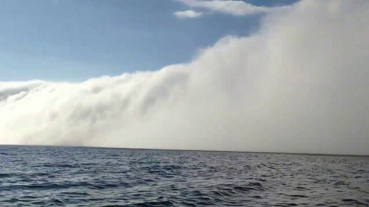 Quand le brouillard avale tout sur son passage : fin du monde