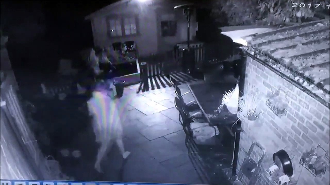 La gamelle de sa vie... Elle s'en souviendra longtemps