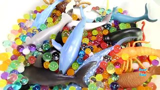 Learn Wild Sea Animal Names For Kids - Animal Toys Video