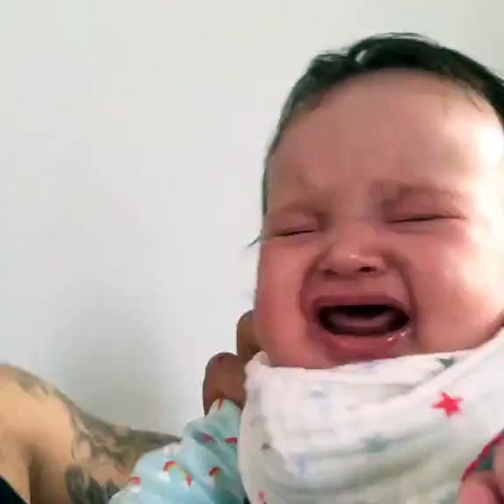 Crying baby sends dog into howling frenzy
