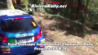 Best of rally 2016 [HD] Show Crash Mistakes pure sound rallye
