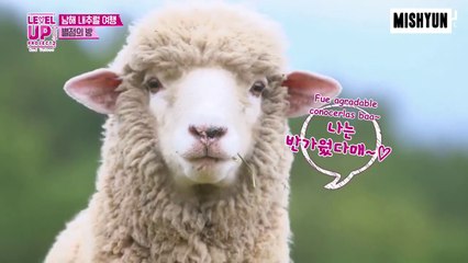 [SUB ESP] Red Velvet - Level Up! Project S2 Ep. 24