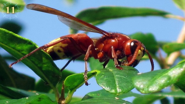 Alternative & Renewable Energy - Green Technology of the Future