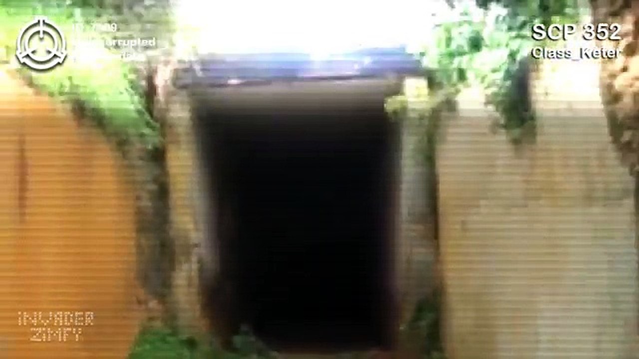 SCP 352 Баба Яга