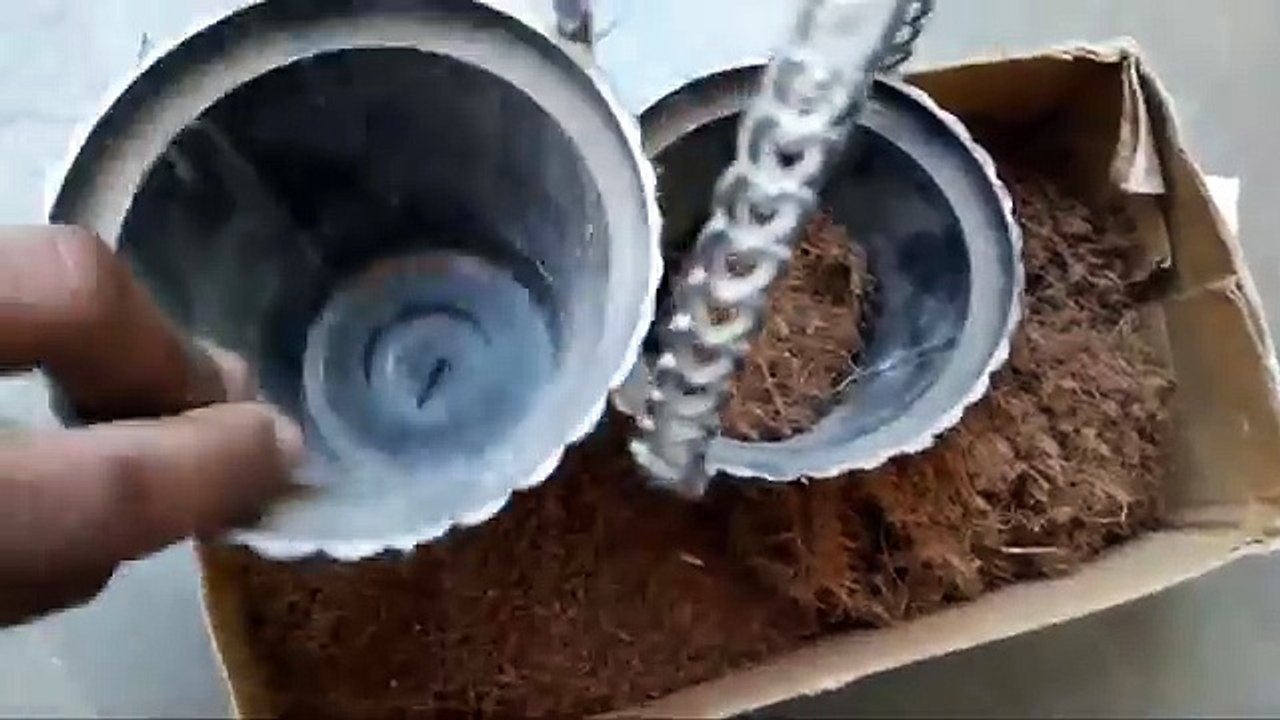 How to create a perfect hanging basket for flowering plants moss