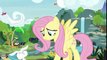 My Little Pony Friendship Is Magic - S08 E12 - Marks for Effort - June 2, 2018 || MLP 8X12 || My Little Pony Friendship Is Magic 06/02/2018
