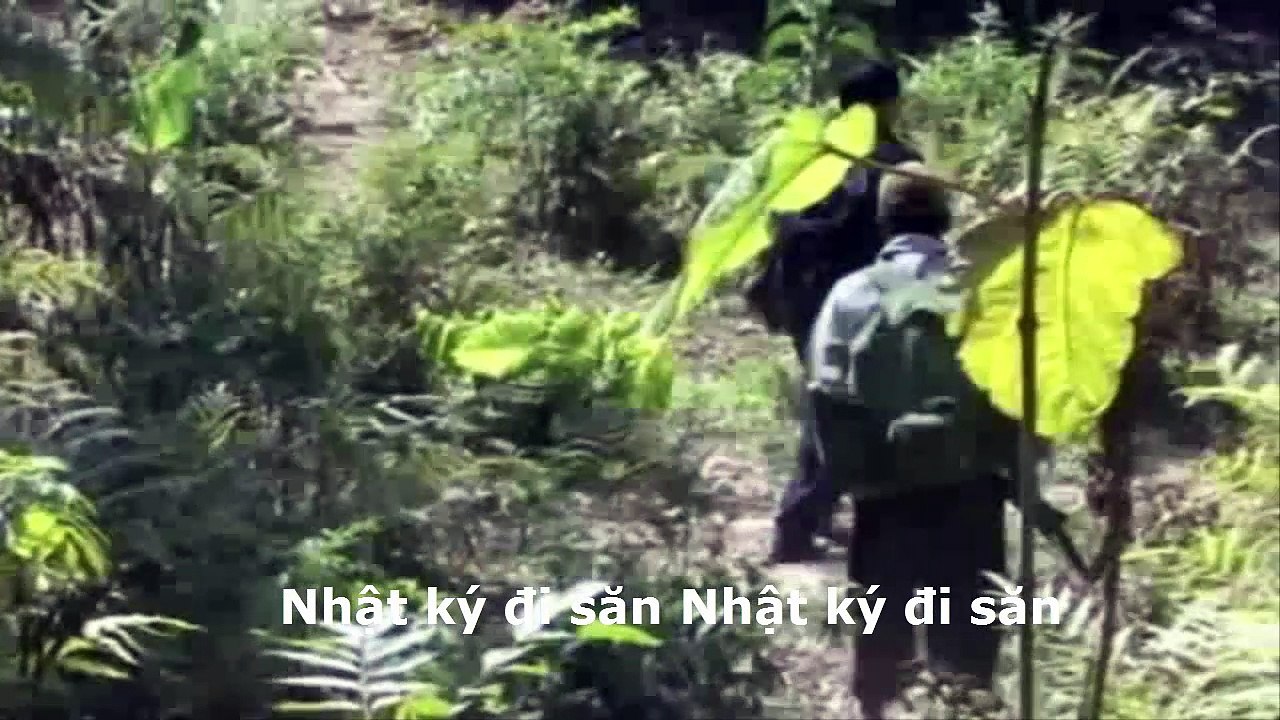 Lội rừng săn qúa nhiều mồi với heo nai sóc và cả chim bồ nông
