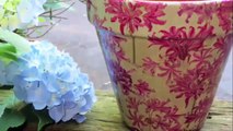 Cách trang trí những vật dụng phế thải bằng nhựa thành những chậu trồng hoa tuyệt đẹp 2