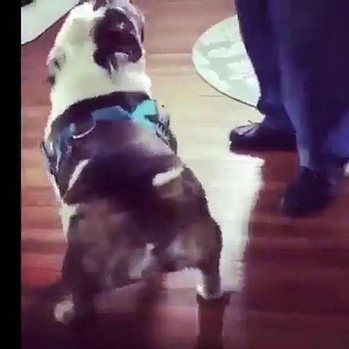 Pero que rico se mueve