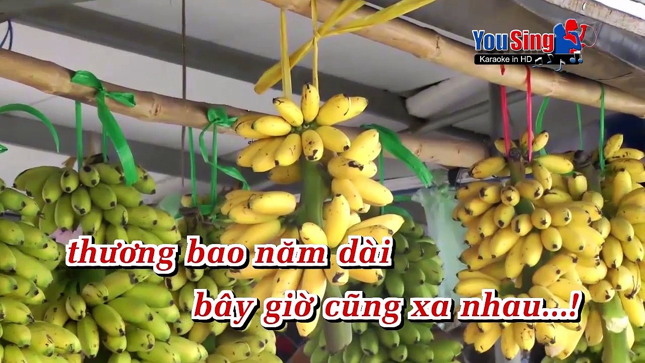 Cuối Đoạn Đường Tình - Lý Diệu Linh