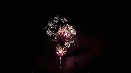 Feu artifice des fêtes de la Bague à Semur 6