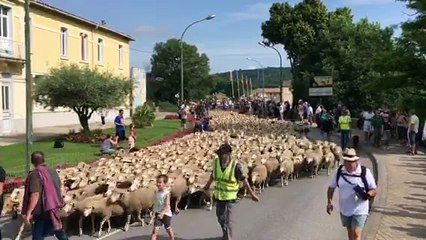 Vinon-sur-Verdon : la foule pour la transhumance