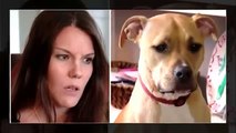 Mom Awakens To Odd Grumble From Pit Bull Prompting Her To Check Son & Discover Dogs Actions