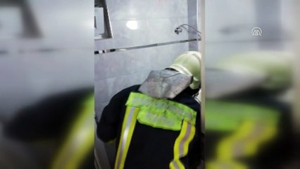 Yavru şahini itfaiye kurtardı - DENİZLİ