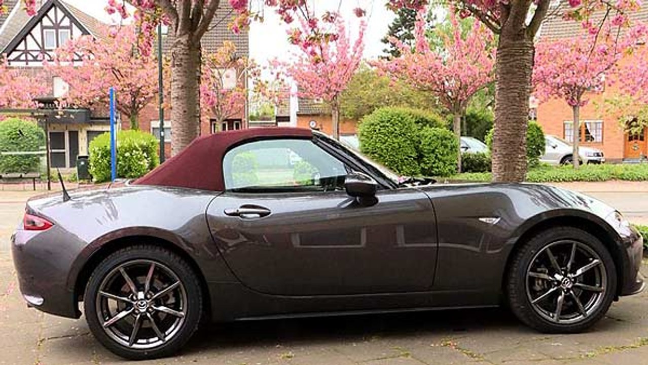Mazda MX-5 Sakura Neuwagen