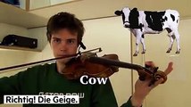 Verrückt! Ein Geiger kann mit seiner Violine Tiergeräusche erzeugen.