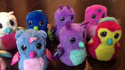 All 9 of my Hatchimals + New Names! / Hatchimals Surprise Eggs