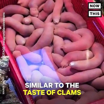 These penis-shaped sea worms still wiggle on the plate (via NowThis Food)