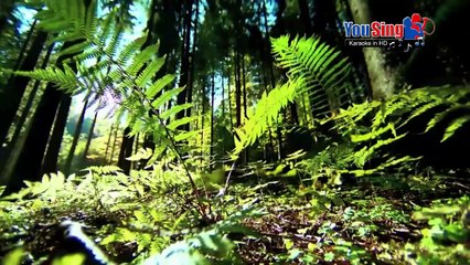 Diễm Xưa - Tân Cổ - Ngọc Lan