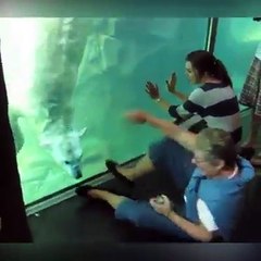 That's why I love sea creatures 