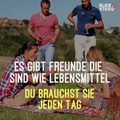 Die Ansichten eines Weisen zur Freundschaft :-)