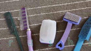How To Groom/Brush Your Rabbit