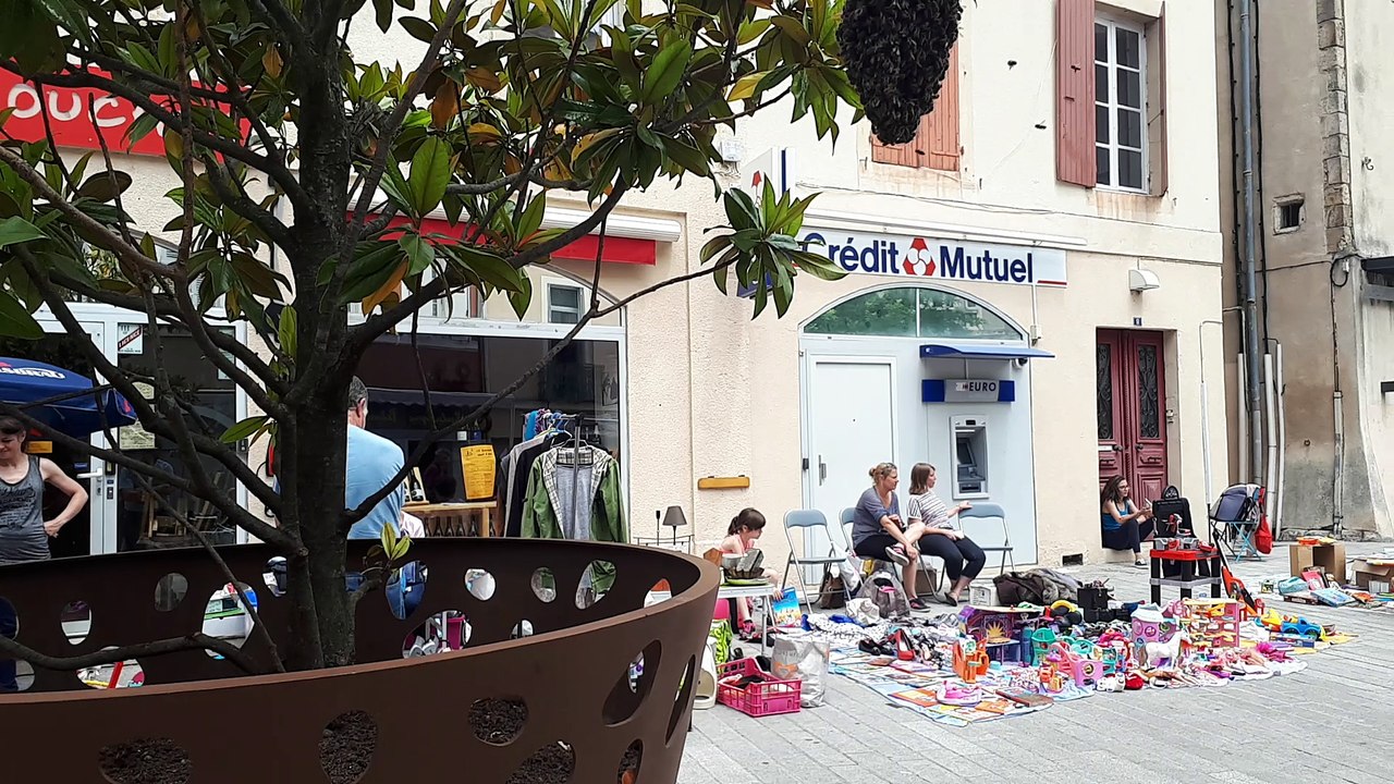 3000 abeilles s’installent place de l’Hôtel-de-ville à Privas
