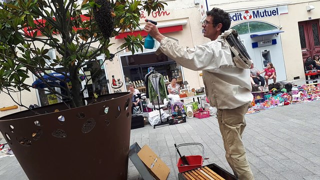3000 abeilles s’installent place de l’Hôtel-de-ville à Privas (2)