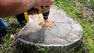 Easy Way to Remove Tree Stumps - Part 1