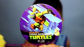 Big Candy Surprise Teenage Mutant Ninja Turtles For Kids