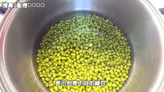 DIY健康綠豆芽菜的開心農場【聖嫂DODO】
