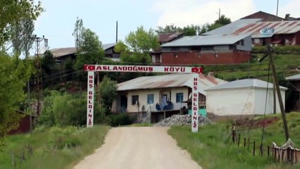 Sivas'ta 10 Gün İçinde Keneden Üçüncü Ölüm