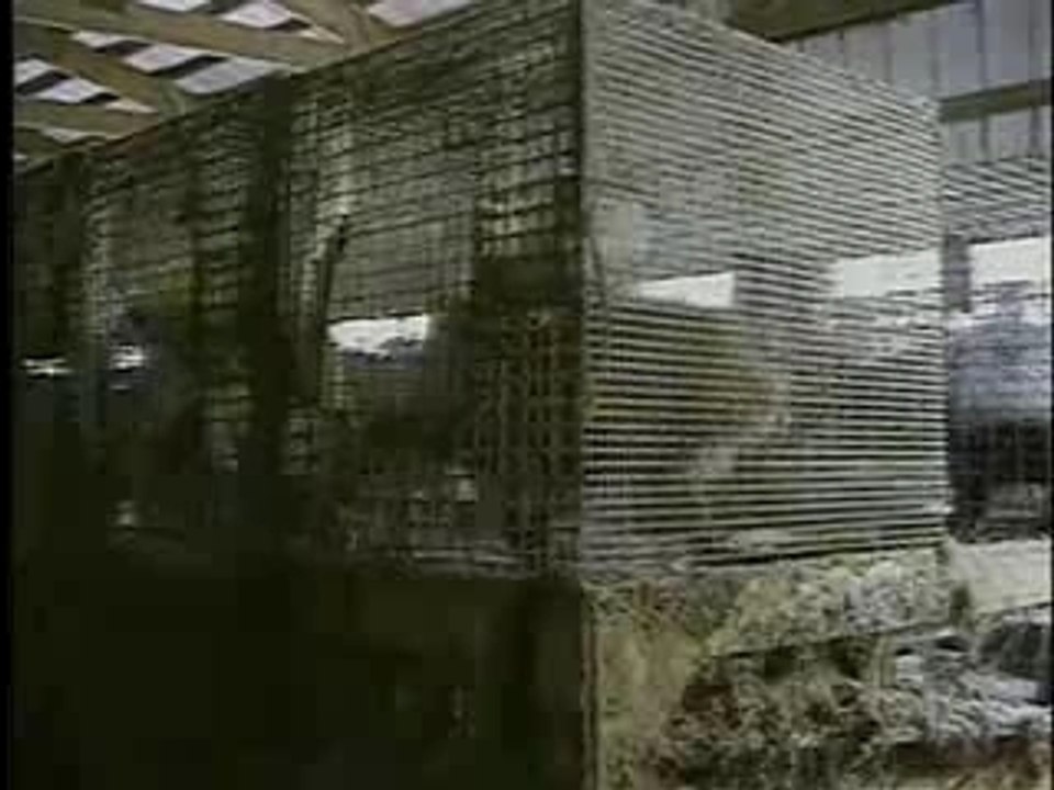 Ferme à fourrure