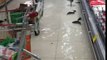 Fishes coming inside the Supermarket...!!!Amazing Video..!!!