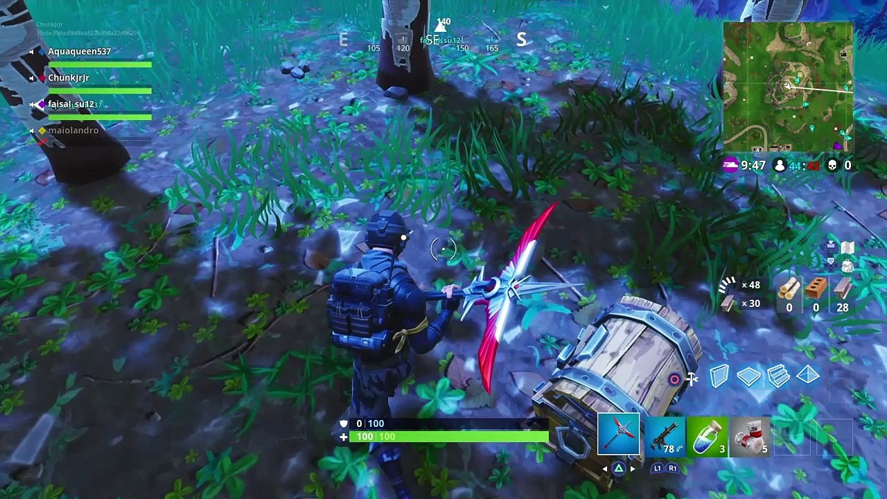 Fortnite*