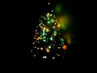 Mon beau sapin de Noël!!!